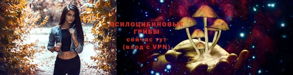 ГАЛЛЮЦИНОГЕННЫЕ ГРИБЫ Навашино