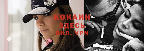 крисы Наволоки