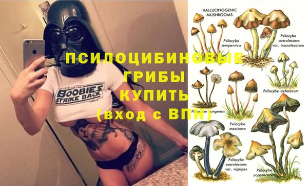ГАЛЛЮЦИНОГЕННЫЕ ГРИБЫ Навашино