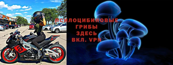 ГАЛЛЮЦИНОГЕННЫЕ ГРИБЫ Навашино