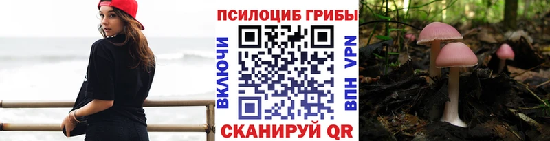цена наркотик  Покачи  Галлюциногенные грибы Cubensis 